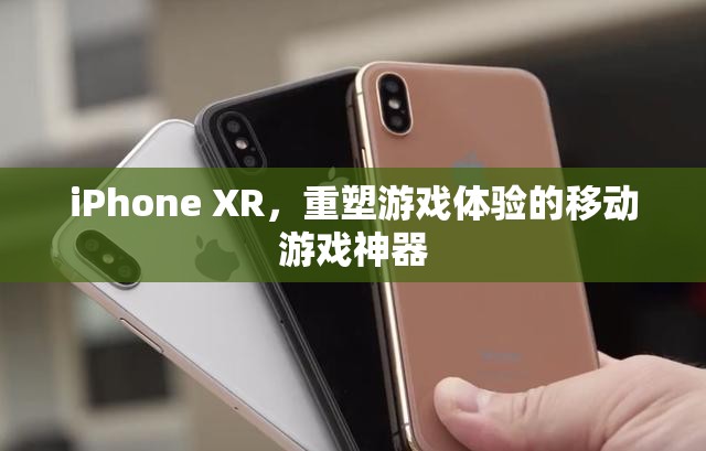 iPhone XR，重塑移動(dòng)游戲體驗(yàn)的科技新寵