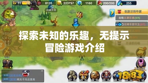 探索未知的樂趣，無提示冒險(xiǎn)游戲揭秘