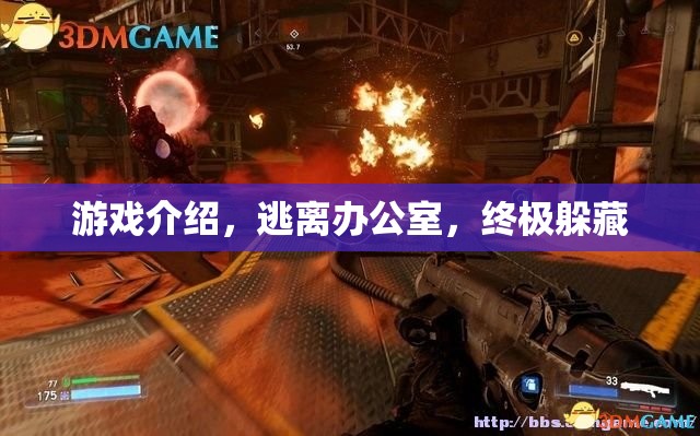 終極躲藏，逃離辦公室的驚險(xiǎn)挑戰(zhàn)