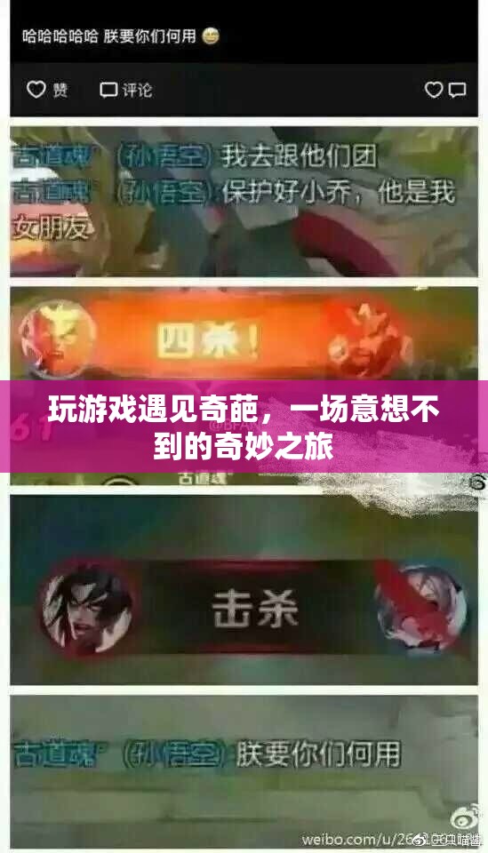 遇見奇葩，一場(chǎng)意想不到的奇妙游戲之旅