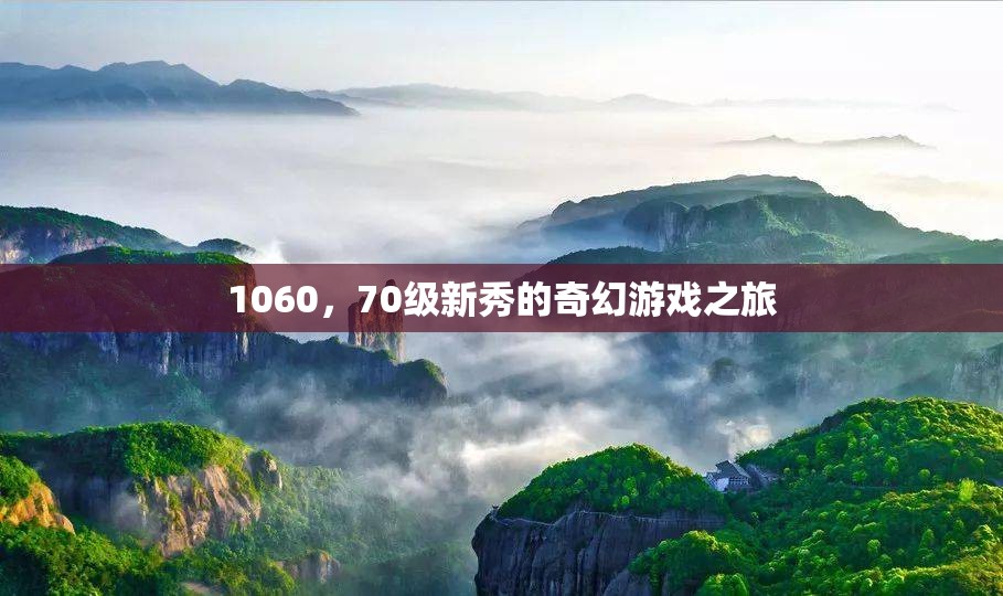 1060，70級新秀的奇幻游戲之旅  第1張