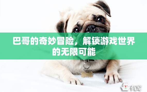 巴哥的奇幻之旅，解鎖游戲世界的無(wú)限可能