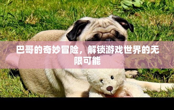 巴哥的奇幻之旅，解鎖游戲世界的無(wú)限可能