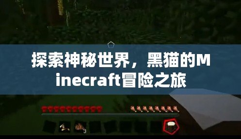 黑貓的Minecraft冒險，探索神秘世界的奇幻之旅