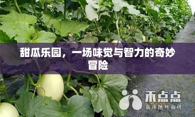 甜瓜樂園，味覺與智力的雙重奇境冒險