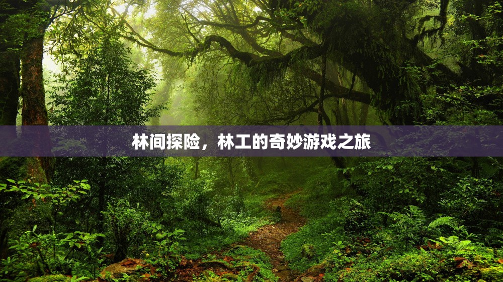 林間探險，林工的奇妙游戲之旅