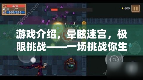 挑戰(zhàn)極限，暈眩迷宮的生理與心理雙重考驗