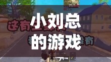 職場精英小劉的奇幻游戲之旅，從現(xiàn)實(shí)到虛擬的探險
