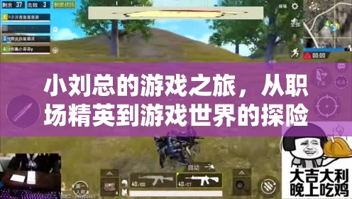 職場精英小劉的奇幻游戲之旅，從現(xiàn)實(shí)到虛擬的探險