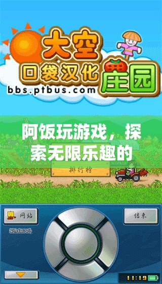 阿飯的數(shù)字樂(lè)園，探索游戲世界的無(wú)限樂(lè)趣