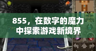 探索數(shù)字855，解鎖游戲新境界的魔力