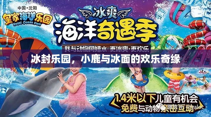 冰封樂園，小鹿與冰面的歡樂奇緣