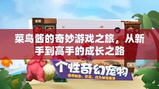 菜鳥醬的奇妙游戲之旅，新手到高手的成長之路