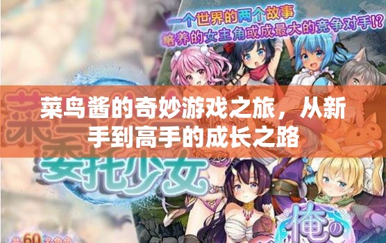 菜鳥醬的奇妙游戲之旅，新手到高手的成長之路