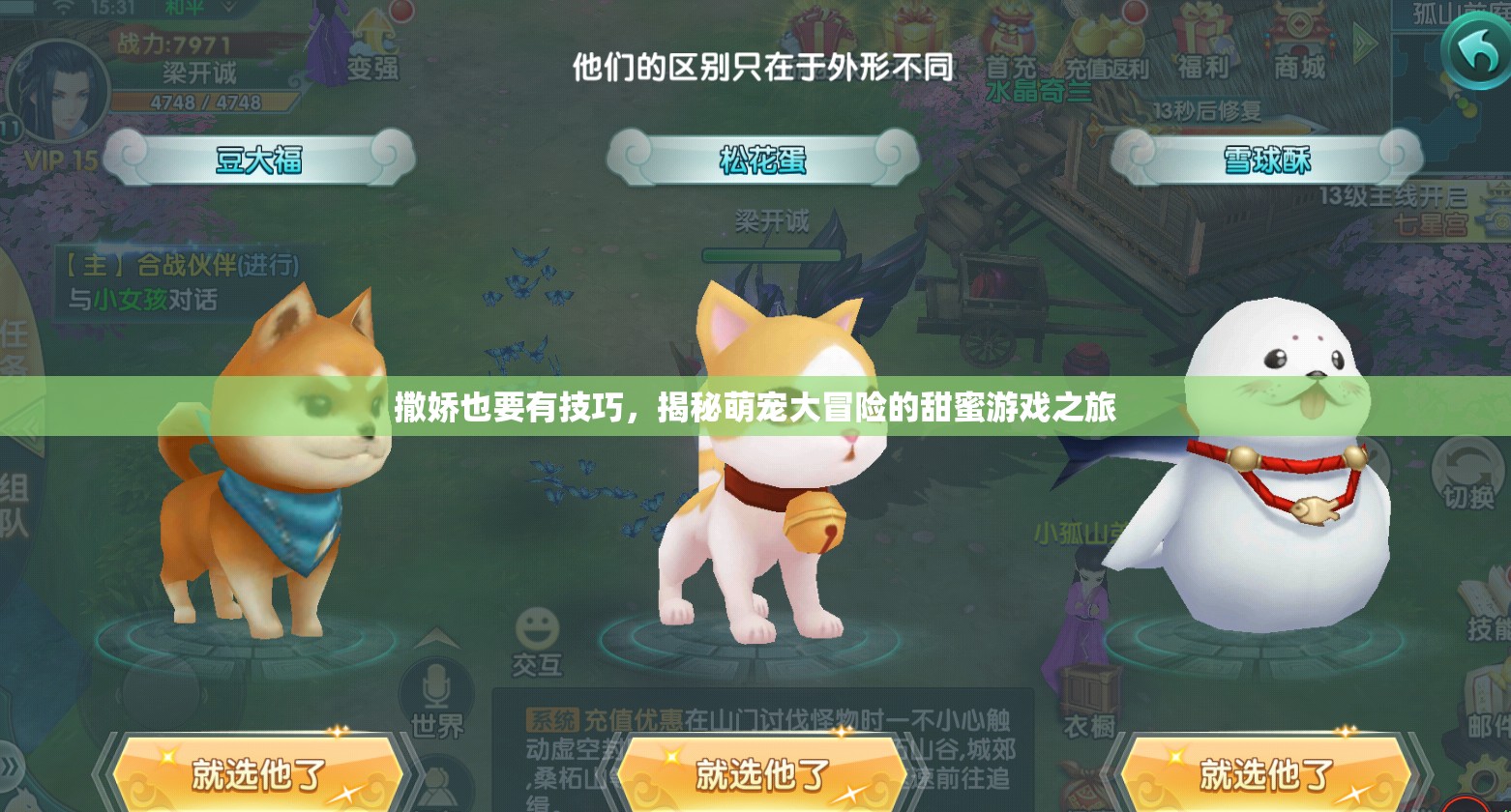 萌寵大冒險(xiǎn)，解鎖撒嬌技巧的甜蜜游戲之旅