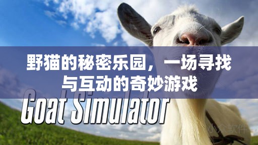 野貓的秘密樂(lè)園，一場(chǎng)尋覓與互動(dòng)的奇妙探險(xiǎn)