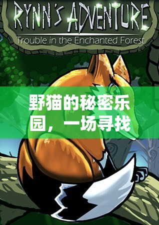 野貓的秘密樂(lè)園，一場(chǎng)尋覓與互動(dòng)的奇妙探險(xiǎn)