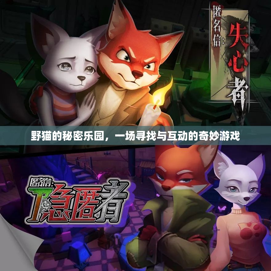野貓的秘密樂(lè)園，一場(chǎng)尋覓與互動(dòng)的奇妙探險(xiǎn)