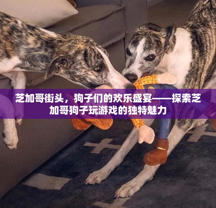芝加哥街頭，狗子們的歡樂盛宴，探索城市中的獨特游戲魅力