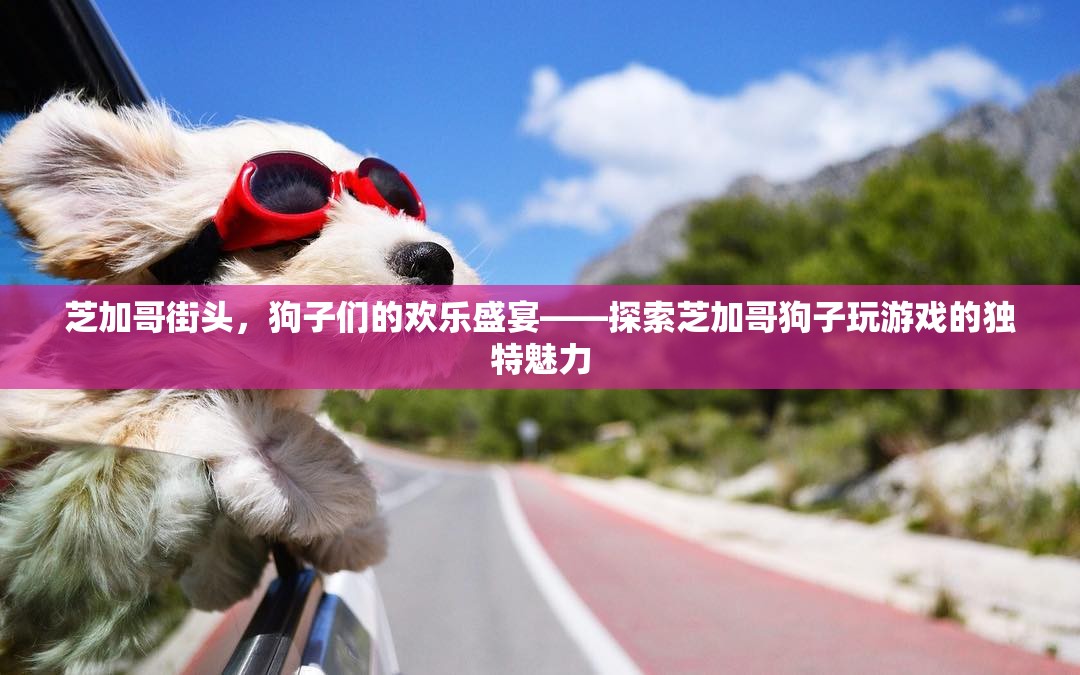 芝加哥街頭，狗子們的歡樂盛宴，探索城市中的獨特游戲魅力
