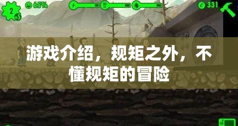 規(guī)矩之外，不懂規(guī)矩的冒險(xiǎn)之旅