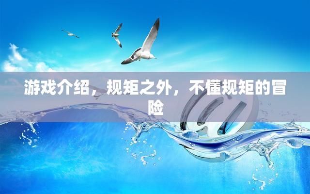 規(guī)矩之外，不懂規(guī)矩的冒險(xiǎn)之旅