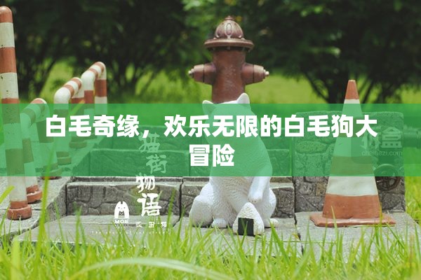 白毛奇緣，歡樂無限的白毛狗大冒險(xiǎn)