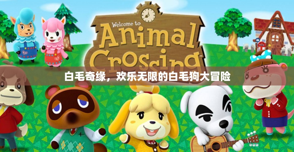 白毛奇緣，歡樂無限的白毛狗大冒險(xiǎn)