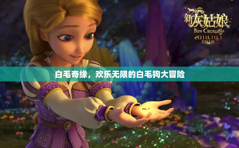 白毛奇緣，歡樂無限的白毛狗大冒險(xiǎn)