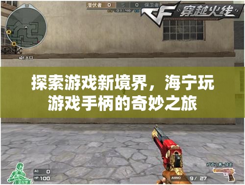 海寧游戲手柄，探索游戲新境界的奇妙之旅