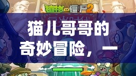 貓兒哥哥的奇幻之旅，虛擬與現(xiàn)實的歡樂冒險
