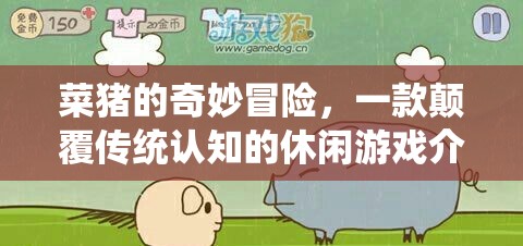菜豬的奇妙冒險(xiǎn)，顛覆傳統(tǒng)認(rèn)知的休閑游戲新體驗(yàn)