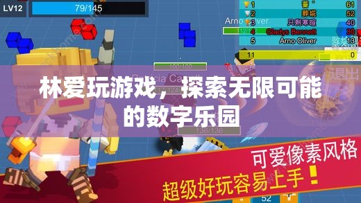 數(shù)字樂(lè)園的探險(xiǎn)家，林愛(ài)的游戲之旅
