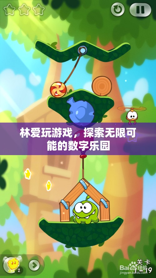 數(shù)字樂(lè)園的探險(xiǎn)家，林愛(ài)的游戲之旅