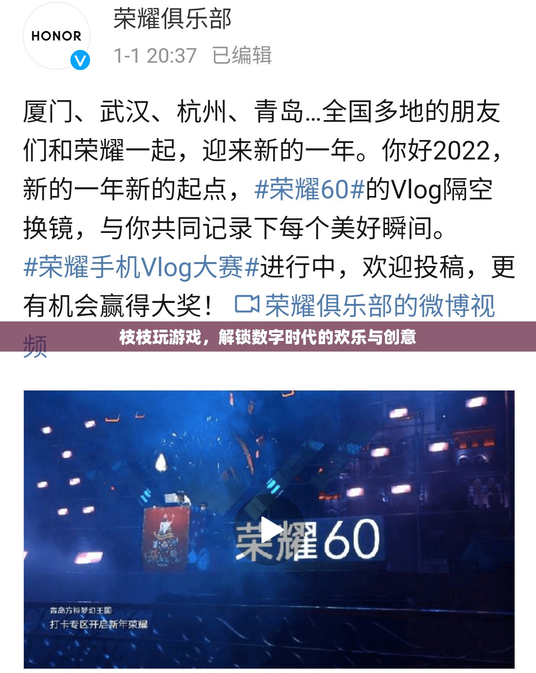 解鎖數(shù)字時代歡樂與創(chuàng)意，枝枝游戲的奇妙之旅