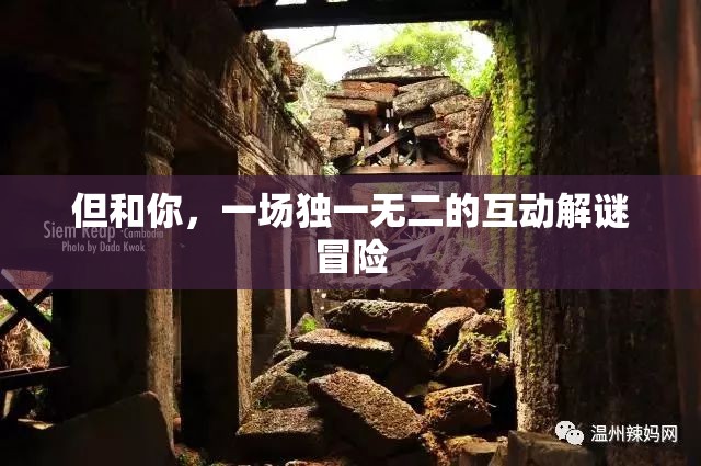 獨一無二的互動解謎冒險，與你共赴未知之旅