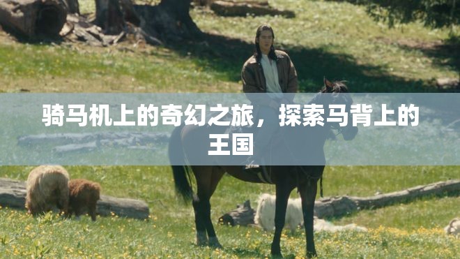 馬背上的奇幻王國(guó)，騎馬機(jī)上的冒險(xiǎn)之旅
