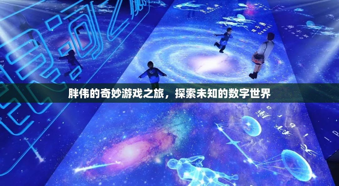 胖偉的數(shù)字奇境探險