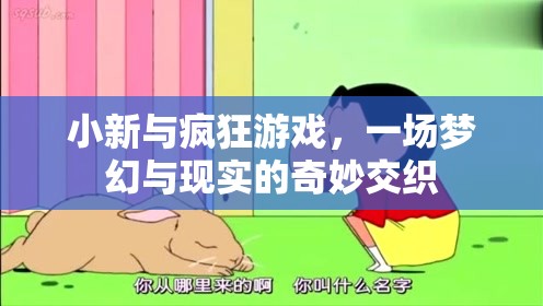 小新，在瘋狂游戲中穿梭于夢幻與現(xiàn)實