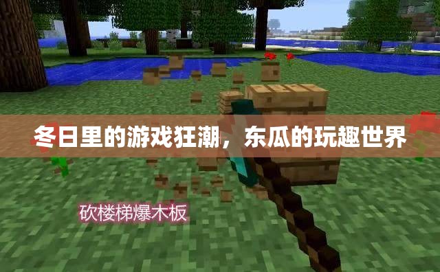 冬日狂歡，東瓜的玩趣世界