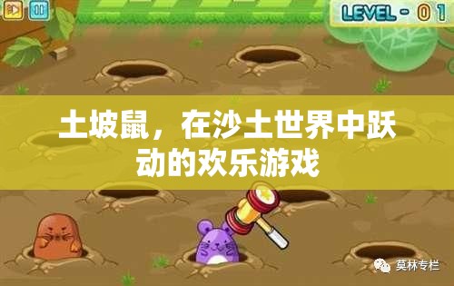 土坡鼠，沙土世界中的歡樂(lè)跳躍者
