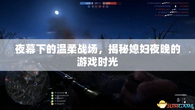 夜幕下的溫柔戰(zhàn)場(chǎng)，揭秘媳婦夜晚的秘密游戲時(shí)光