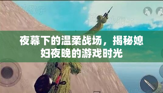 夜幕下的溫柔戰(zhàn)場(chǎng)，揭秘媳婦夜晚的秘密游戲時(shí)光