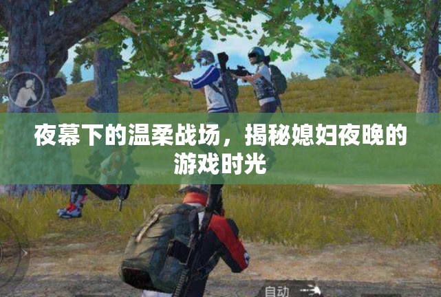夜幕下的溫柔戰(zhàn)場(chǎng)，揭秘媳婦夜晚的秘密游戲時(shí)光
