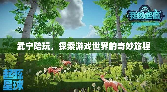 武寧陪玩，解鎖游戲世界的奇妙探險