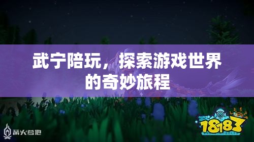 武寧陪玩，解鎖游戲世界的奇妙探險