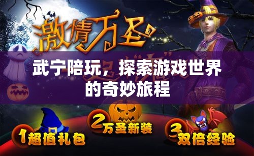 武寧陪玩，解鎖游戲世界的奇妙探險
