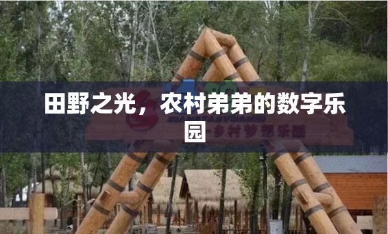 農(nóng)村弟弟的數(shù)字樂園，田野之光的啟迪