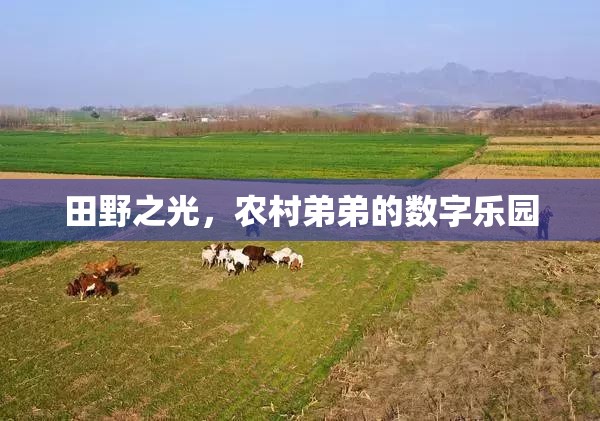 農(nóng)村弟弟的數(shù)字樂園，田野之光的啟迪