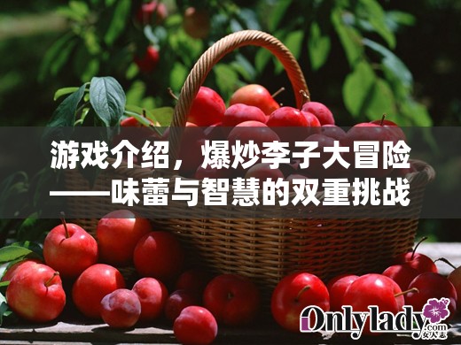 爆炒李子大冒險(xiǎn)，味蕾與智慧的雙重挑戰(zhàn)